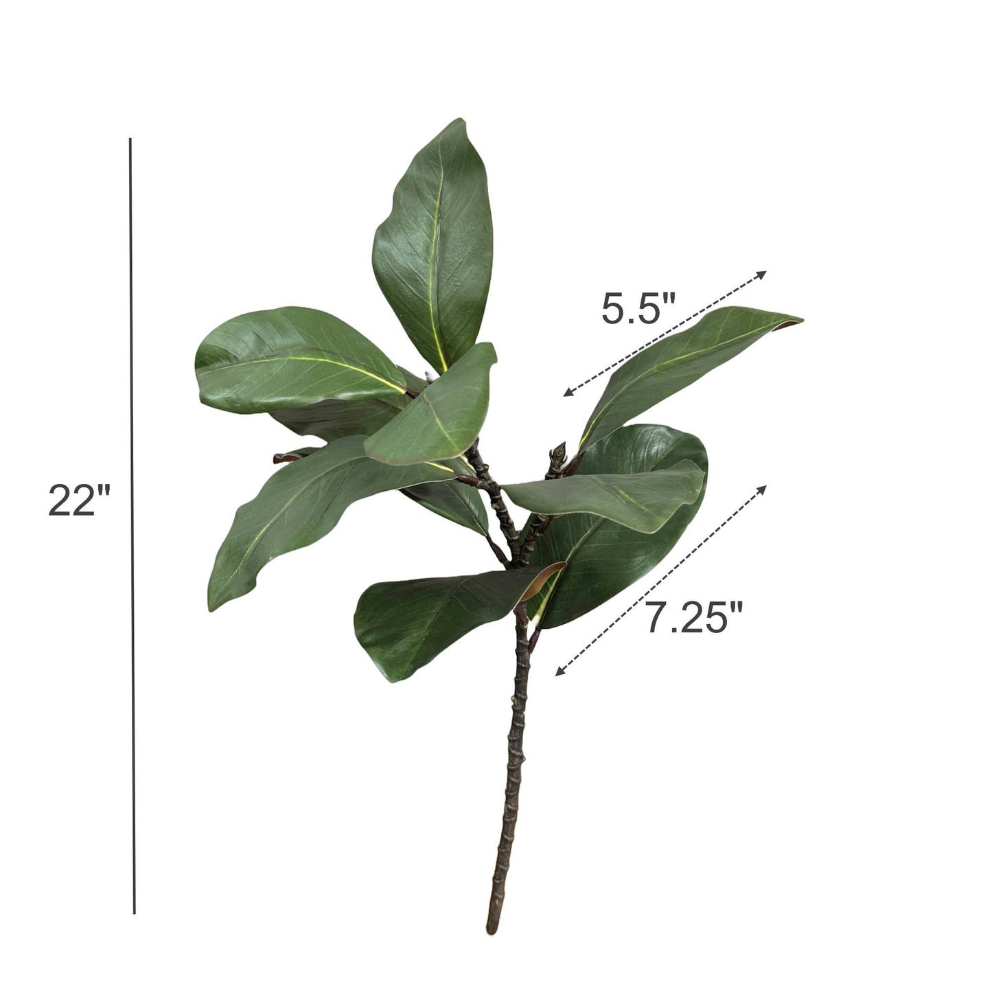 22"Realistic Magnolia Stem-10 leaves