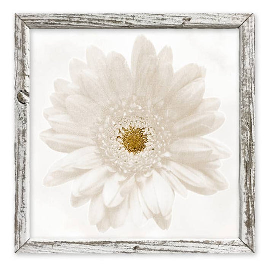 Shabby White "Daisy" Art | Chic Home Decor