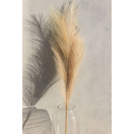 Large Cashmere Faux Pampas Grass - 1 Stem